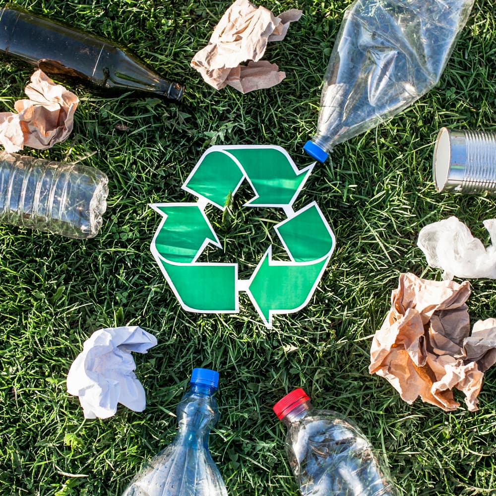 Eco Somalia